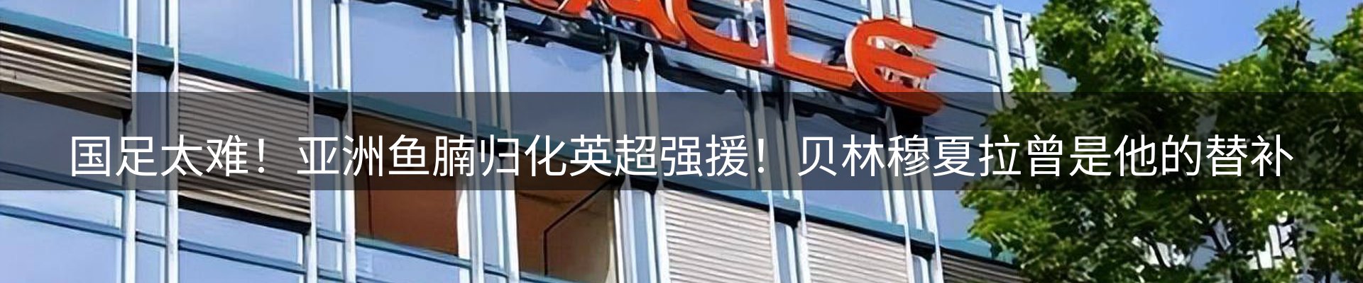资讯动态