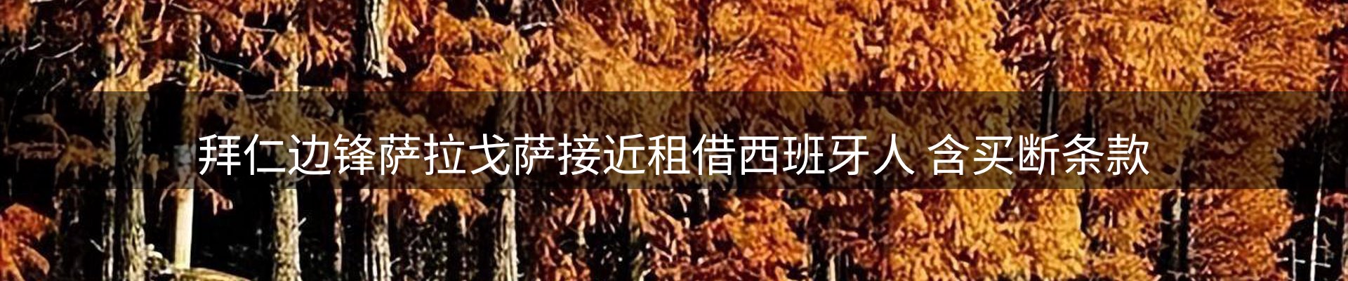 资讯动态