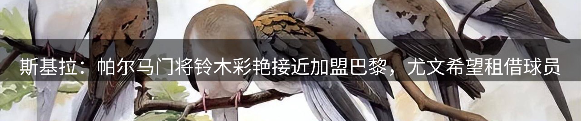 资讯动态