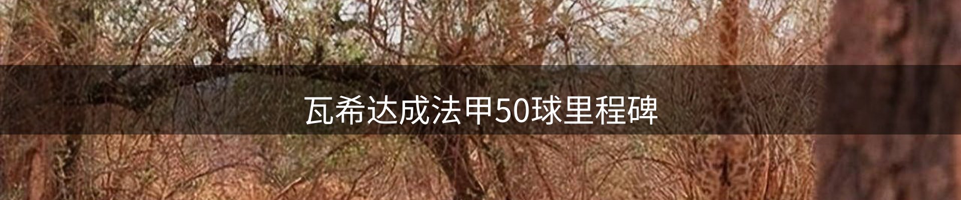 资讯评析