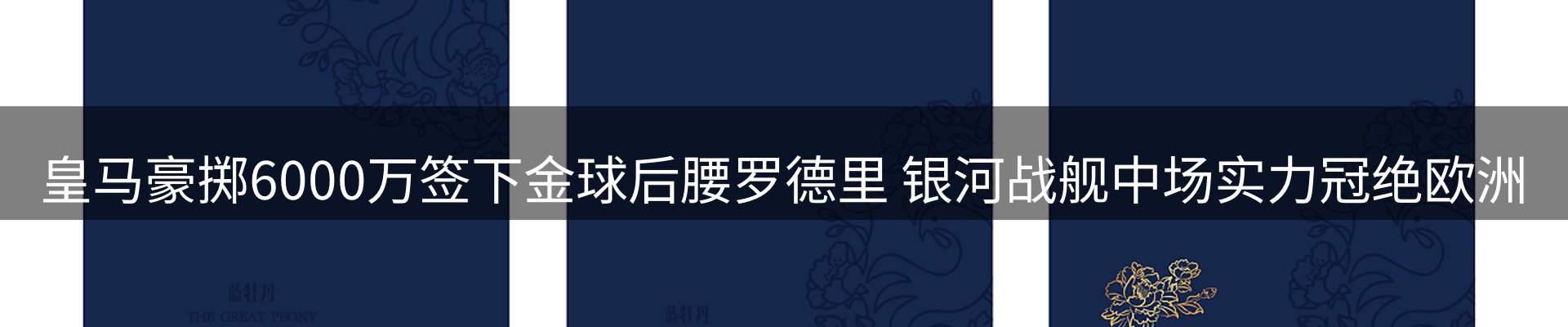 资讯动态