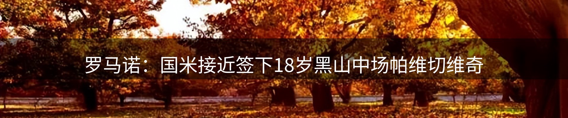 资讯评析